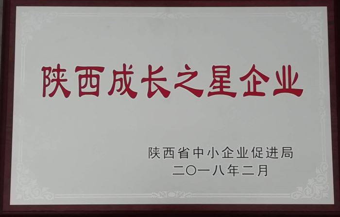 2018年度陕西成长之星企业